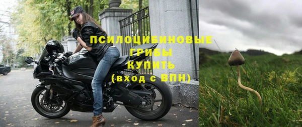 мяу мяу мука Осинники