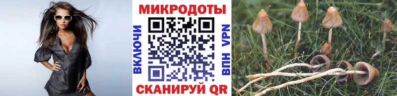 Псилоцибиновые грибы прущие грибы  Купить закладки  Ивдель 
